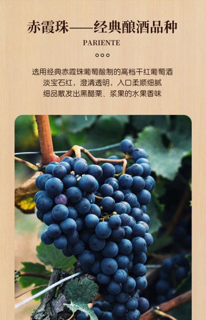 红酒批发选购指南