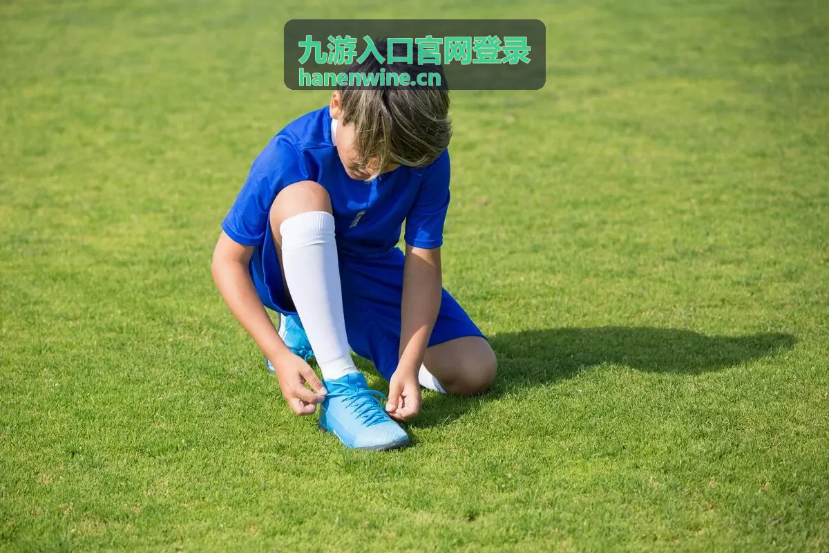 九游入口官网登录客户端下载与版本核对示意图